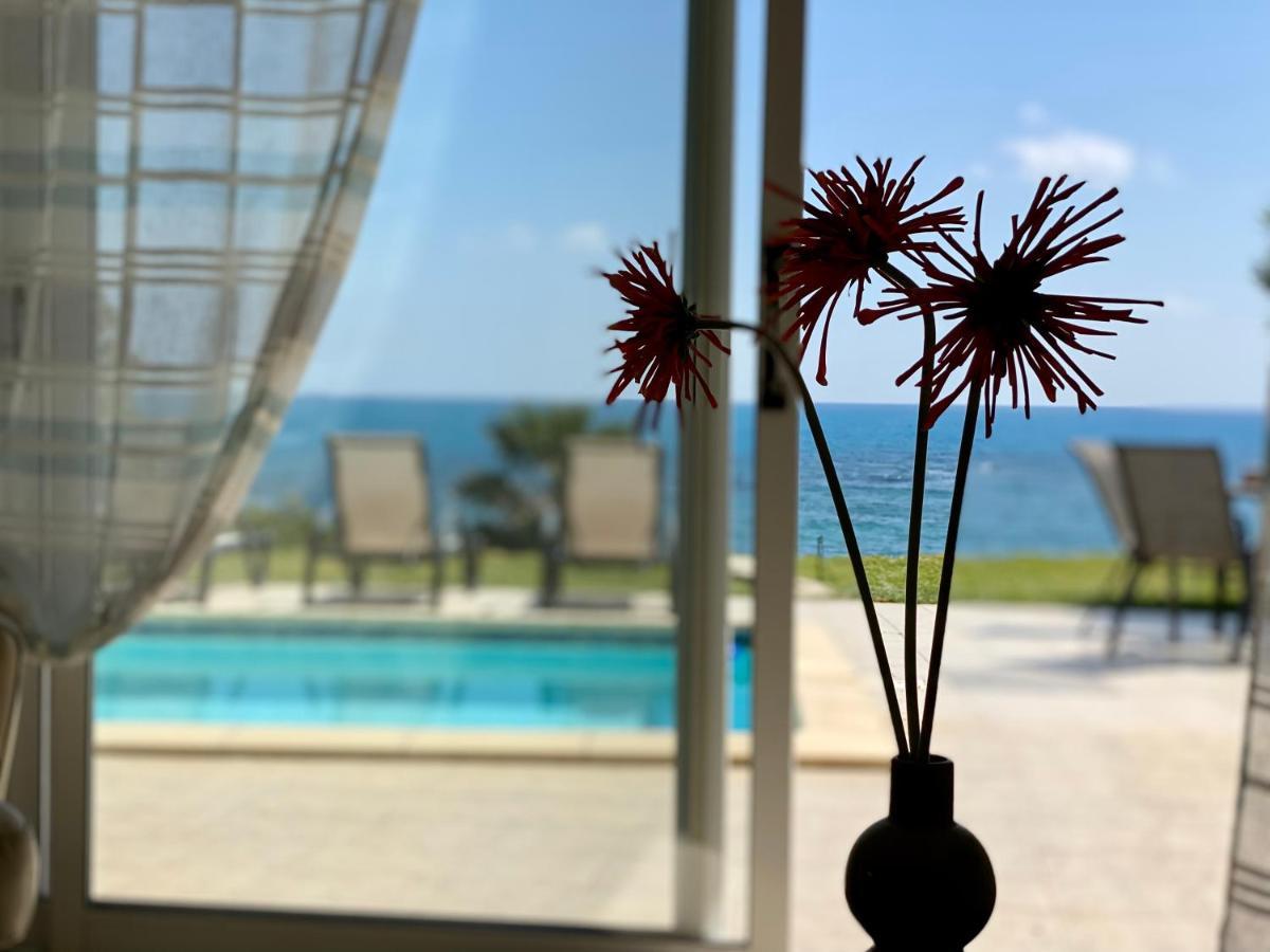 Amazing Front Line Villa In Coral Bay Pégeia Exteriör bild